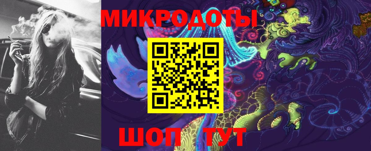 Псилоцибиновые грибы Psilocybe Мурино