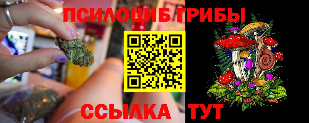 Мурино  Галлюциногенные грибы GOLDEN TEACHER  Псилоцибиновые грибы мухоморы  Вход с VPN 